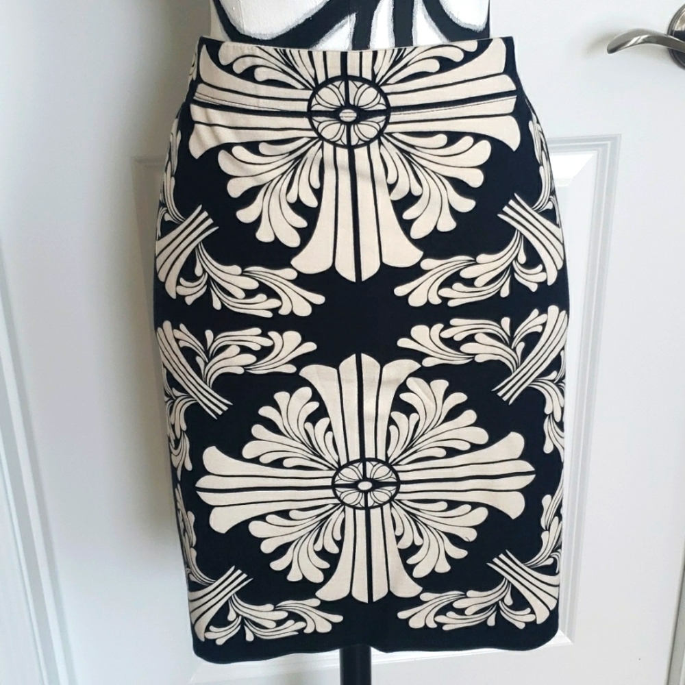 Max Studio skirt